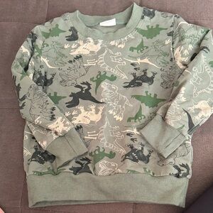 Dinosaur Print Sweatshirt